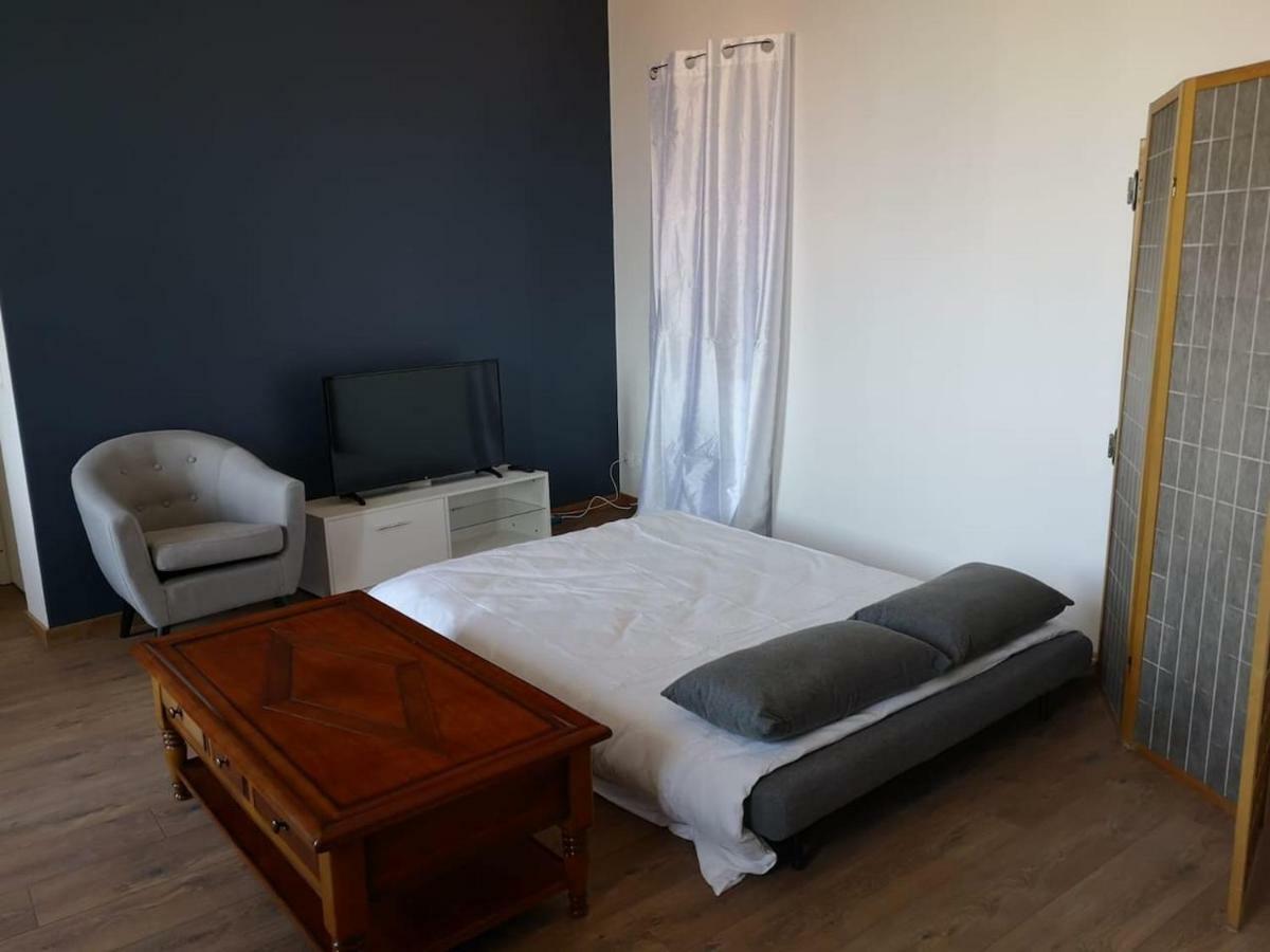 La Roche-de-Glun Appartement Spacieux Et Confortable מראה חיצוני תמונה